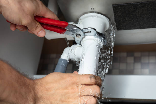 Best Water damage cleanup near me  in Wtell, LA