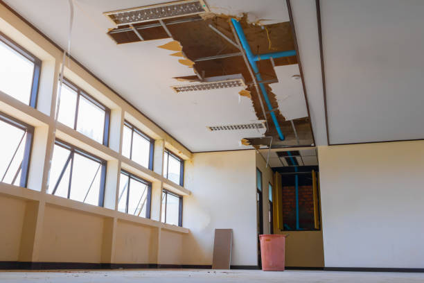 Best 24-hour water damage restoration  in Wtell, LA