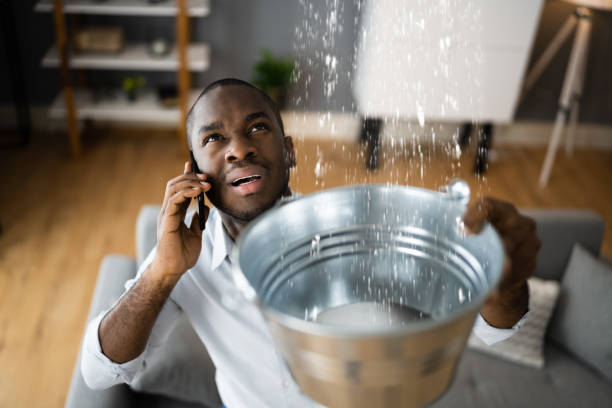 Best Sewage cleanup and water damage restoration  in Wtell, LA