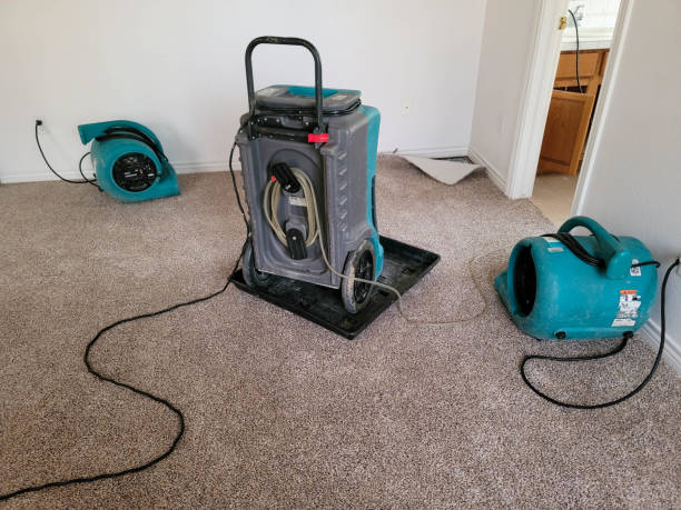 Best Flood restoration services  in Wtell, LA