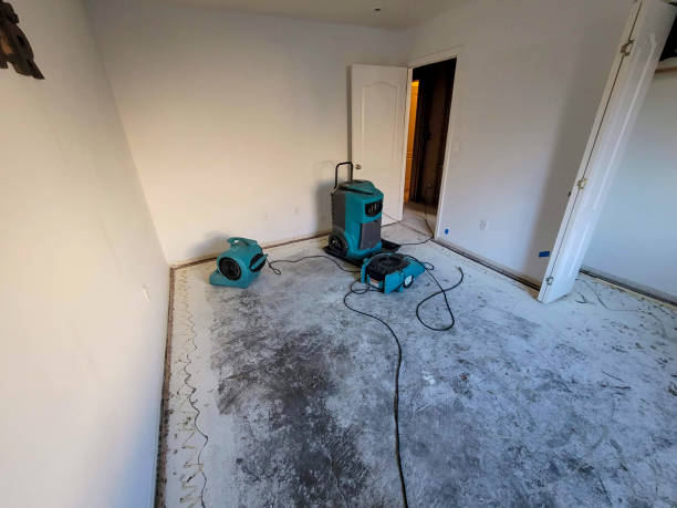 Best Flooded house restoration  in Wtell, LA