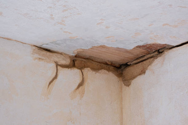 Best Carpet water damage restoration  in Wtell, LA