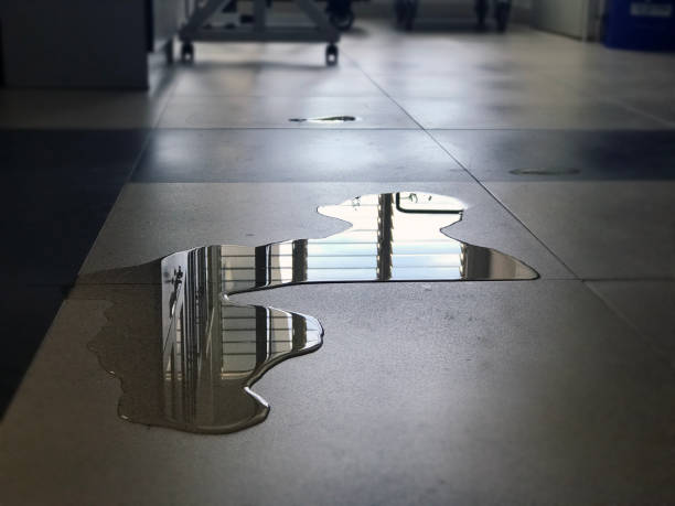 Best Water damage restoration near me  in Wtell, LA