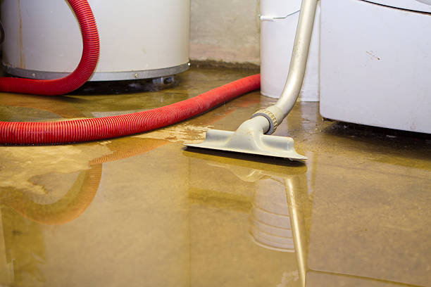  Wtell, LA Water damage restoration Pros