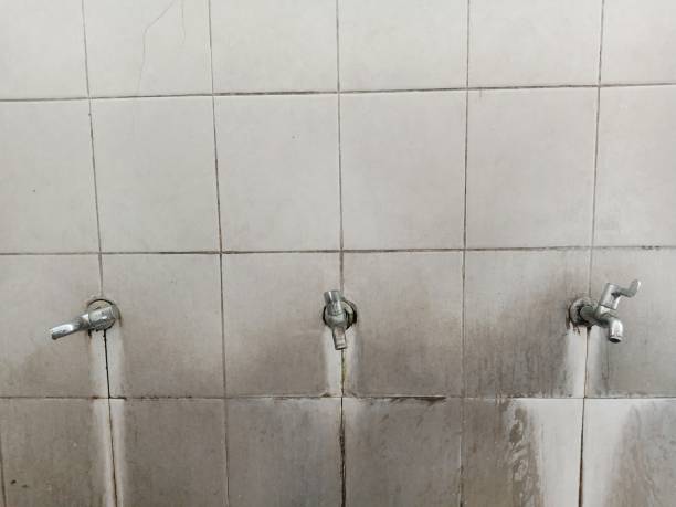 Best Residential water damage restoration  in Wtell, LA