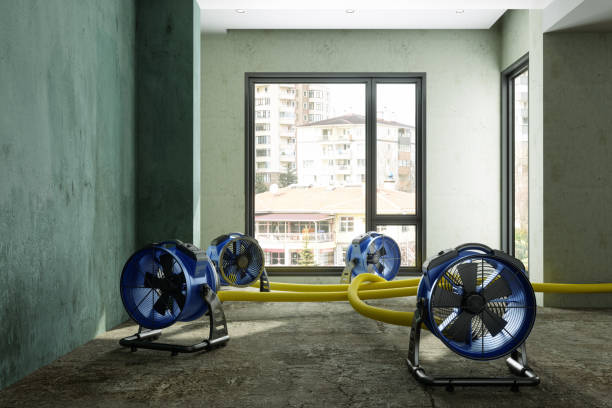 Best Water damage cleanup near me  in Wtell, LA